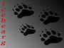 logo Icebearg