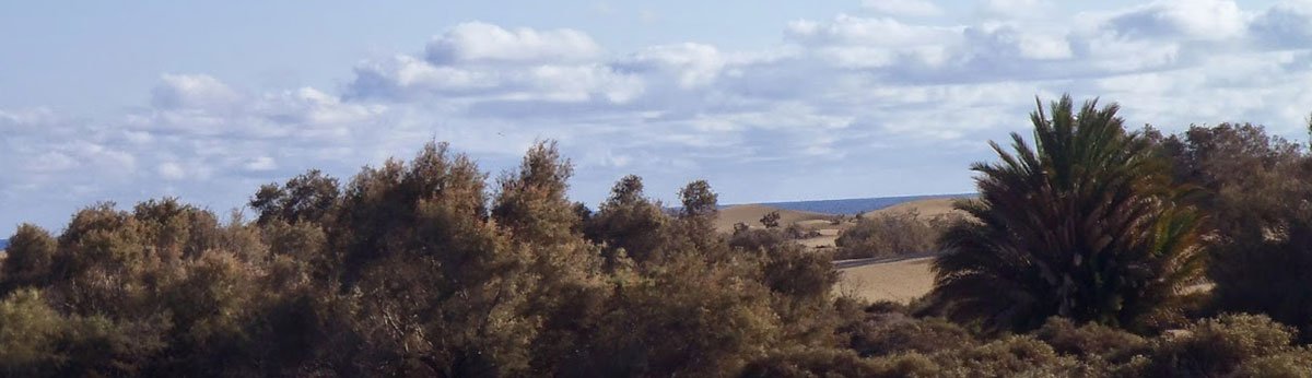 Dunes Maspalomas