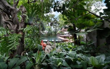 hotel The Nature, Siem Reap