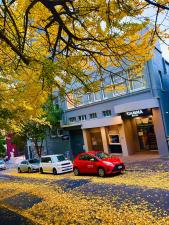 Gamma Hotel, Auckland