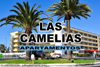 hotel Las Camelias Apartments, Gran Canaria hotel Las Camelias Apartments, Gran Canaria