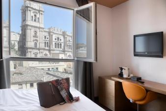 hotel Petit Palace Plaza Málaga, Malaga