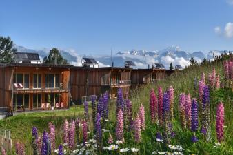 L'Aiguille Grive Chalets Hotel, Les Arcs