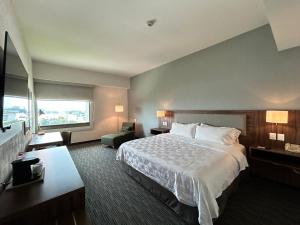 Holiday Inn Guadalajara Select by IHG