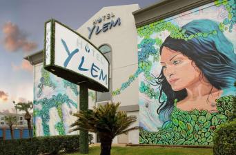 Hotel Ylem, Houston